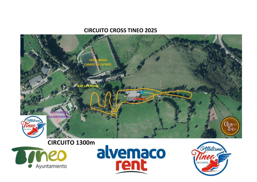 XXV Cross de Tineo
